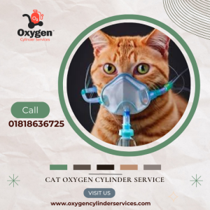 Cat Oxygen Cylinder Service BD